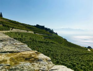 Inheritance tax in the canton of Vaud